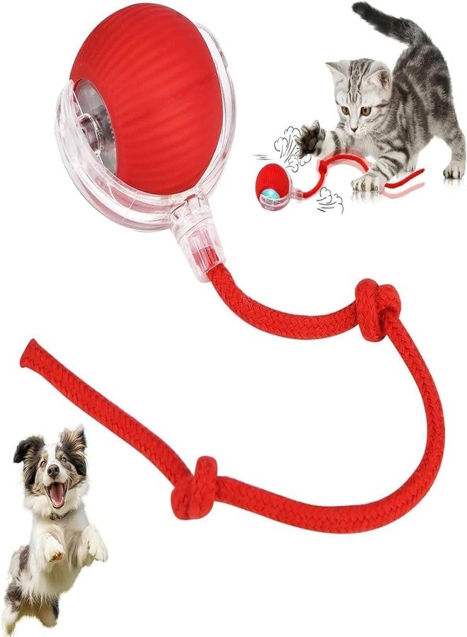 PRETOX Interactive Cat Toy - Cat Toys for Indoor Cats Smart Silicone Rolling Ball with Tail,Bird Sound,Obstacle Avoidance and Motion Activated,Kitten Puzzle Toys 1 PCS (Multicolor) - Image 1